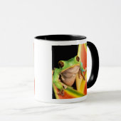 南米、エクアドル、アマゾン。ツリーフロッグ マグカップ (正面右)