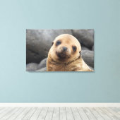 南米、エクアドル、ガラパゴス諸島 キャンバスプリント (インサイチュ (ウッドフロア))