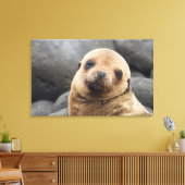 南米、エクアドル、ガラパゴス諸島 キャンバスプリント (インサイチュ (リビング))