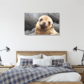 南米、エクアドル、ガラパゴス諸島 キャンバスプリント (インサイチュ (寝室))