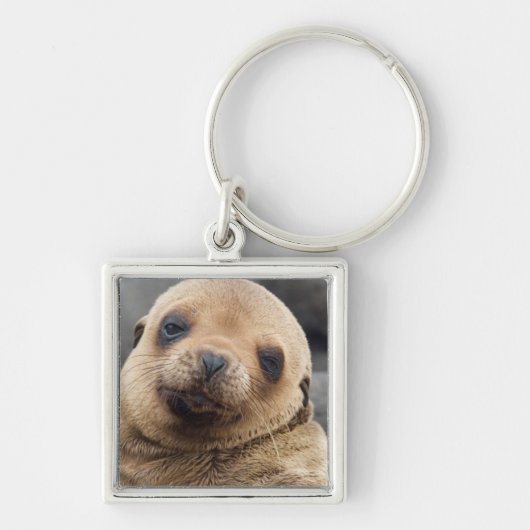 南米、エクアドル、ガラパゴス諸島 キーホルダー (正面)