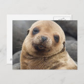 南米、エクアドル、ガラパゴス諸島 ポストカード (正面/裏面)