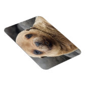 南米、エクアドル、ガラパゴス諸島 マグネット (右側)