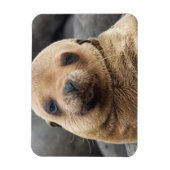 南米、エクアドル、ガラパゴス諸島 マグネット (縦)