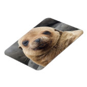 南米、エクアドル、ガラパゴス諸島 マグネット (左側)