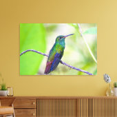 南米、コスタリカ、サラピキ、ラセルバ キャンバスプリント (インサイチュ (リビング))