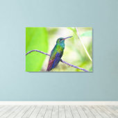 南米、コスタリカ、サラピキ、ラセルバ キャンバスプリント (インサイチュ (ウッドフロア))