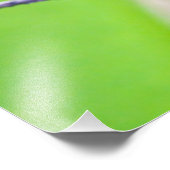 南米、コスタリカ、サラピキ、ラセルバ フォトプリント            (角)