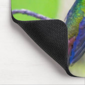 南米、コスタリカ、サラピキ、ラセルバ マウスパッド (コーナー)