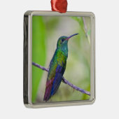 南米、コスタリカ、サラピキ、ラセルバ メタルオーナメント (右)