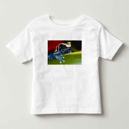 南米、スリナム共和国。接写 トドラーTシャツ (正面)