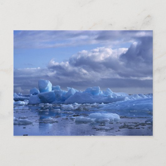 南米、チリ、サンラファエルラグーンNP。 ポストカード (正面)