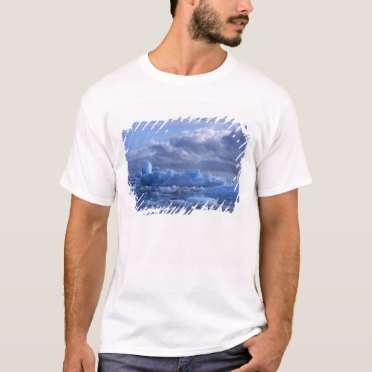 南米、チリ、サンレファエル・ラグーン国立公園 Tシャツ (正面)