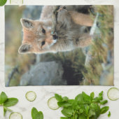 南米、チリ、トレス・デル・ペイン キッチンタオル (折り畳み)