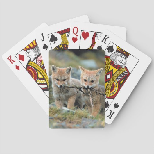 南米、チリ、トレス・デル・ペイン トランプ (裏面)