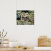 南米、チリ、トレス・デル・ペイン ポスター (キッチン)