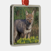 南米、チリ、トレス・デル・ペインNP、 メタルオーナメント (右)