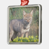 南米、チリ、トレス・デル・ペインNP、 メタルオーナメント (左)