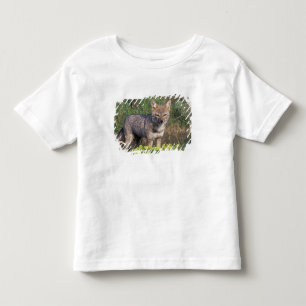 南米 チリ トーレス・デル・パイネ国立公園 トドラーTシャツ