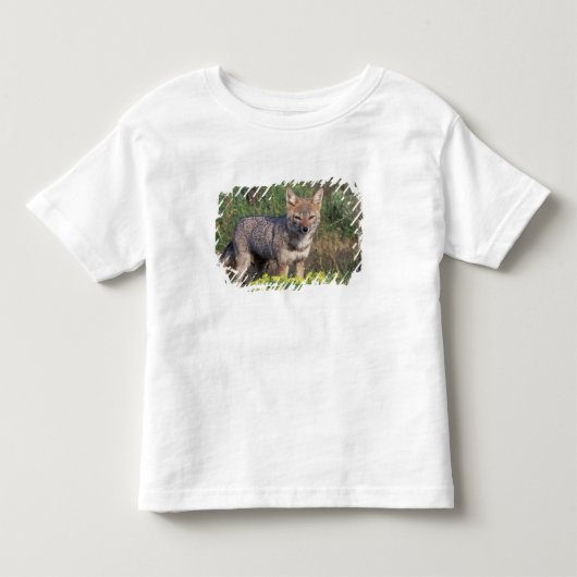 南米 チリ トーレス・デル・パイネ国立公園 トドラーTシャツ (正面)