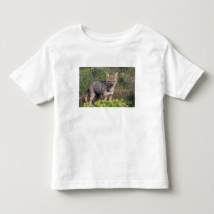 南米 チリ トーレス・デル・パイネ国立公園 トドラーTシャツ