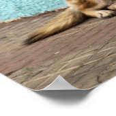 南米、チリ、バルパライソ。ドイツ語 ポスター (角)