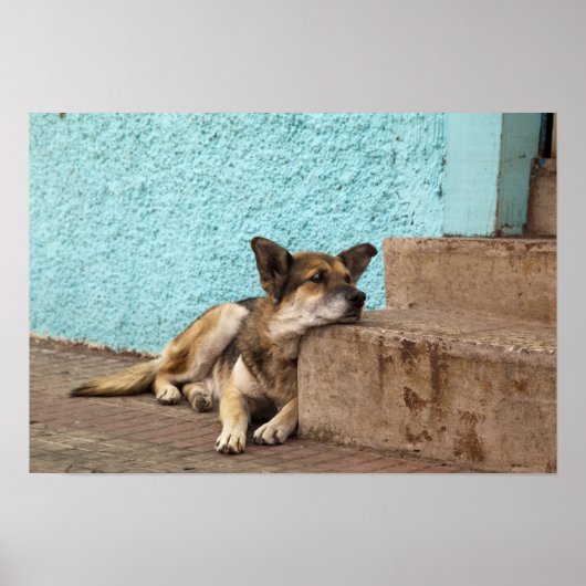 南米、チリ、バルパライソ。ドイツ語 ポスター (正面)