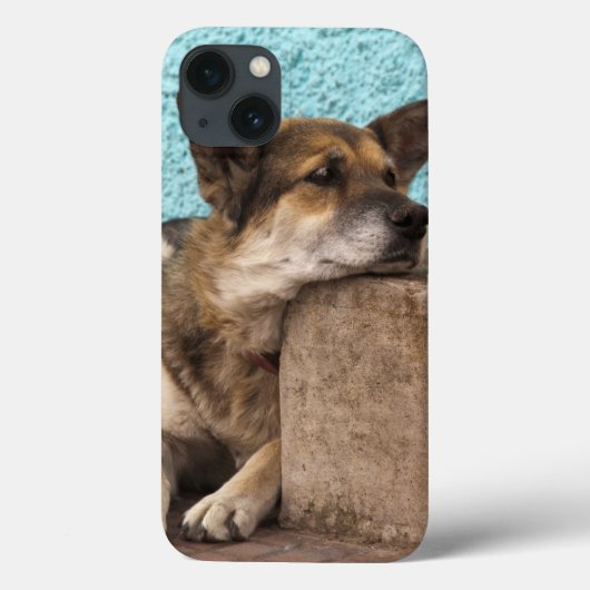 南米、チリ、バルパライソ。ドイツ語 Case-Mate iPhoneケース (裏面)