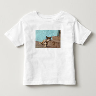 南米, チリ, バルパライソ ドイツ トドラーTシャツ