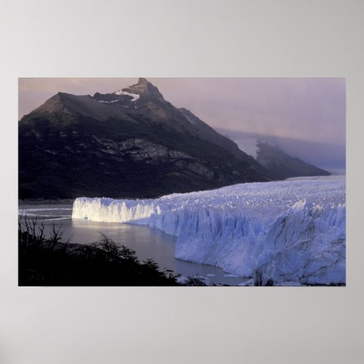 南米、パタゴニア、アルゼンチンパルク ポスター (正面)