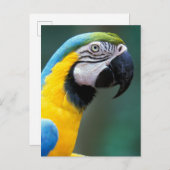 南米、ブラジル、イグアス国立公園 ポストカード (正面/裏面)