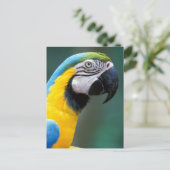 南米、ブラジル、イグアス国立公園 ポストカード (スタンド正面)