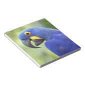 南米、ブラジル、パンタナル ノートパッド (アングル)