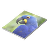 南米、ブラジル、パンタナル ノートパッド (回転)