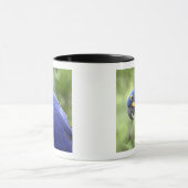 南米、ブラジル、パンタナル マグカップ (中央)