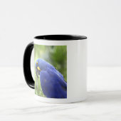 南米、ブラジル、パンタナル マグカップ (正面左)