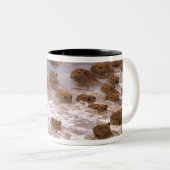 南米、ベネズエラ、ラノ地方。 ツートーンマグカップ (正面右)