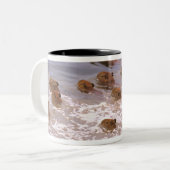 南米、ベネズエラ、ラノ地方。 ツートーンマグカップ (正面左)