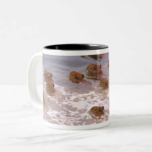 南米、ベネズエラ、ラノ地方。 ツートーンマグカップ (正面左)