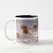 南米、ベネズエラ、ラノ地方。 ツートーンマグカップ (左)