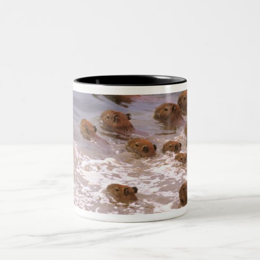 南米、ベネズエラ、ラノ地方。 ツートーンマグカップ (中央)