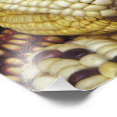 南米、ペルー産トウモロコシ、トウモロコシ フォトプリント (角)