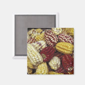 南米、ペルー産トウモロコシ、トウモロコシ マグネット (正面/裏面)