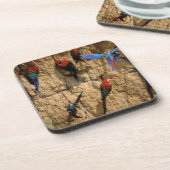 南米、ペルー、マヌ国立公園、 コースター (左側)