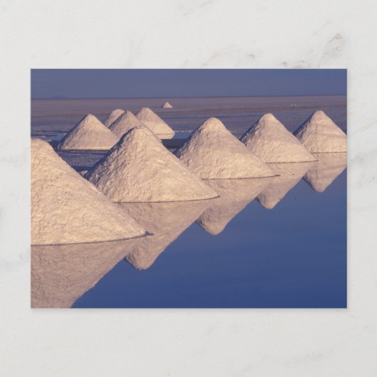 南米、ボリビア。サラードウユニ ポストカード (正面)