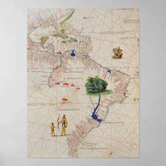 南米 ポスター (正面)