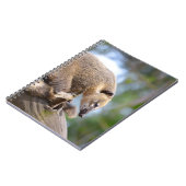 南米Coatiオン分岐ポストカードメタルオルナ ノートブック (左側)