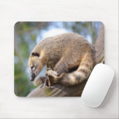南米Coatiオン分岐ポストカードメタルオルナ マウスパッド (マウス)