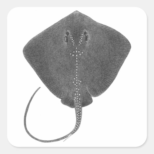 南素晴らし国 スクエアシール (正面)