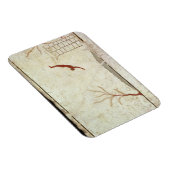 南絵画方の潜水士墓から マグネット (右側)